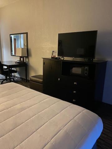 King Suite - Countryside image 4