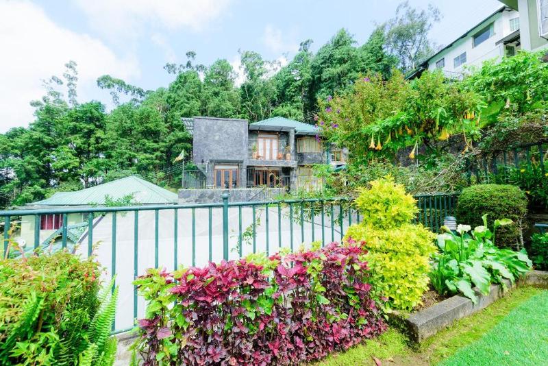 HummingBird Hill Cottage - image 2