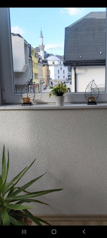 One-Bedroom Apartment image 2