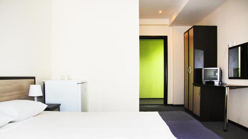 Standard Double or Twin Room image 2