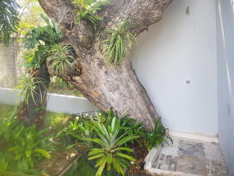 Three-Bedroom House image 2