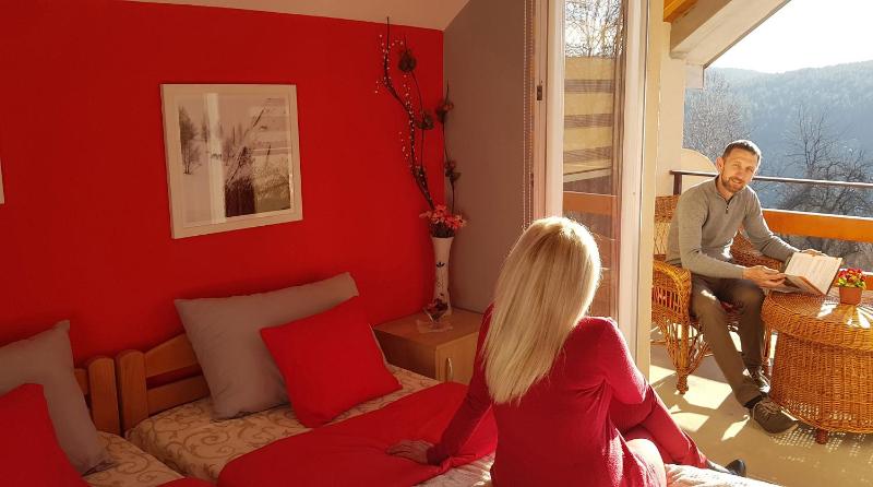 Twin Room with Lake View image 3