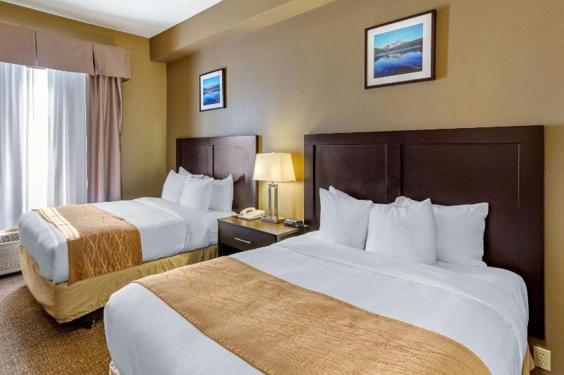 Double Room with Two Double Beds - Accessible/Non-Smoking image 4