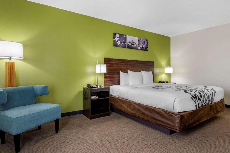 King Room - Non-Smoking image 3