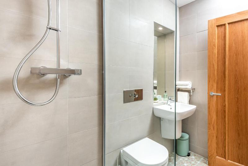 One-Bedroom Apartment image 4