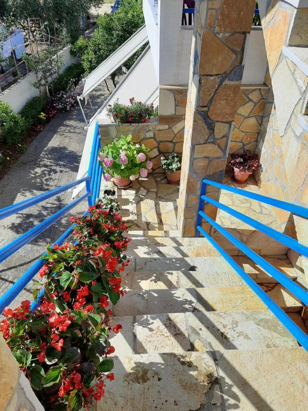 Guesthouse Jasmine - image 6