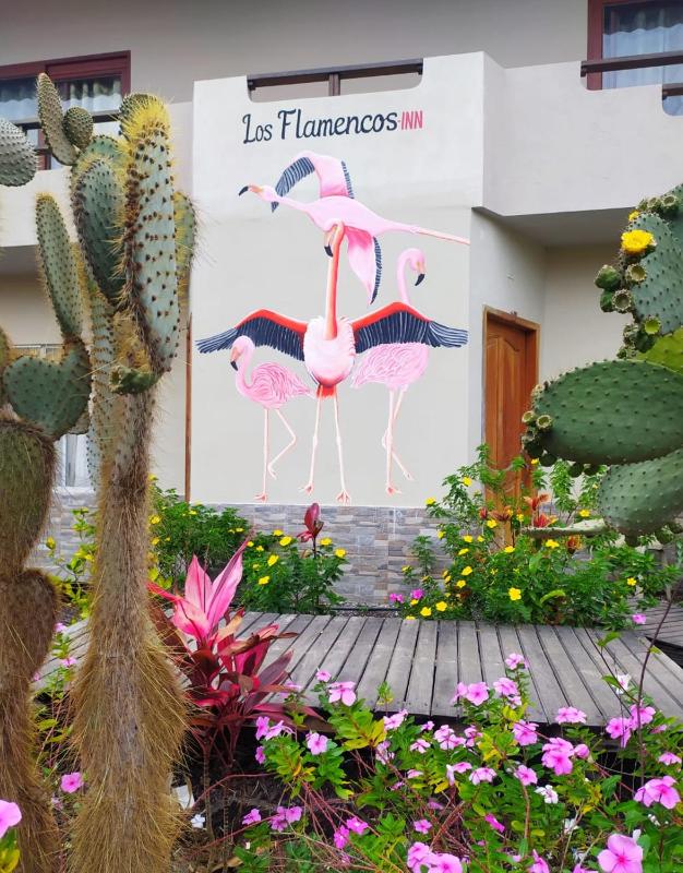 Hostal Los Flamencos Images