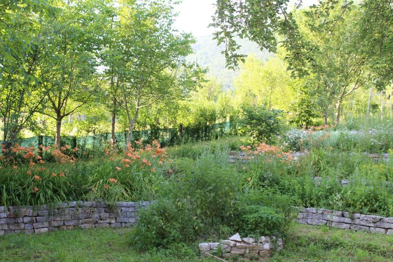 Apartment with Terrace image 3