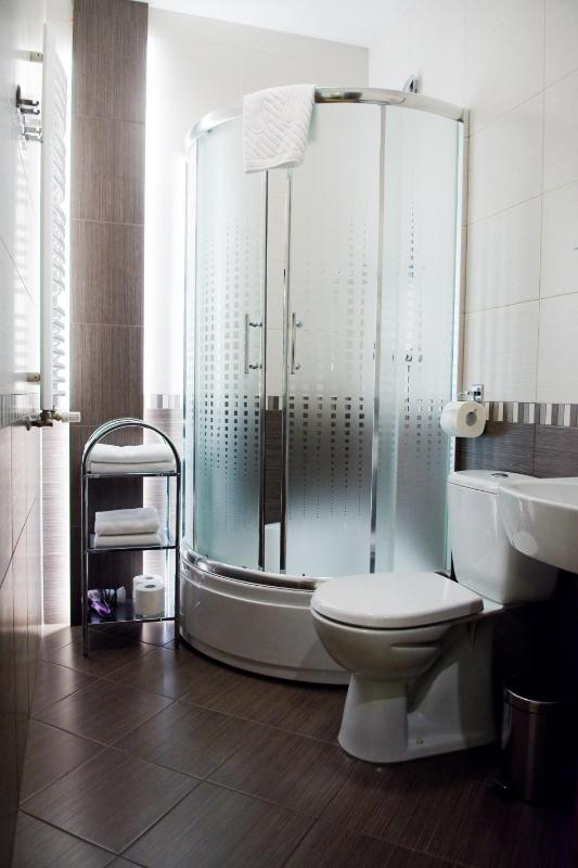 One-Bedroom Apartment image 3