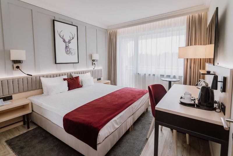 Deluxe Double Room image 1