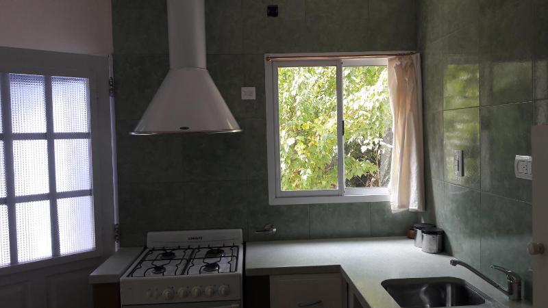 Verde Silencio - image 6
