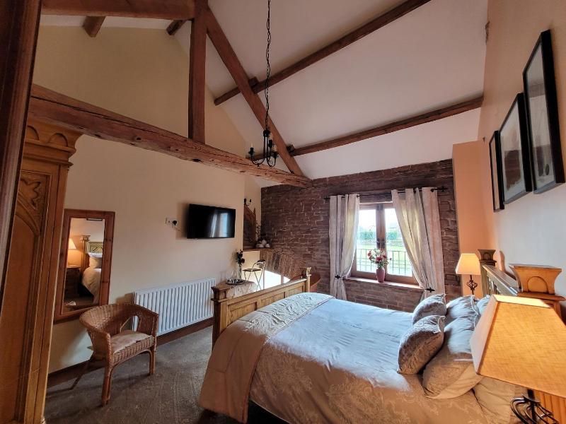 Deluxe King Room image 3