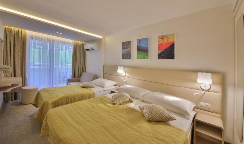 Deluxe Double or Twin Room with Free Aquapark Access image 1