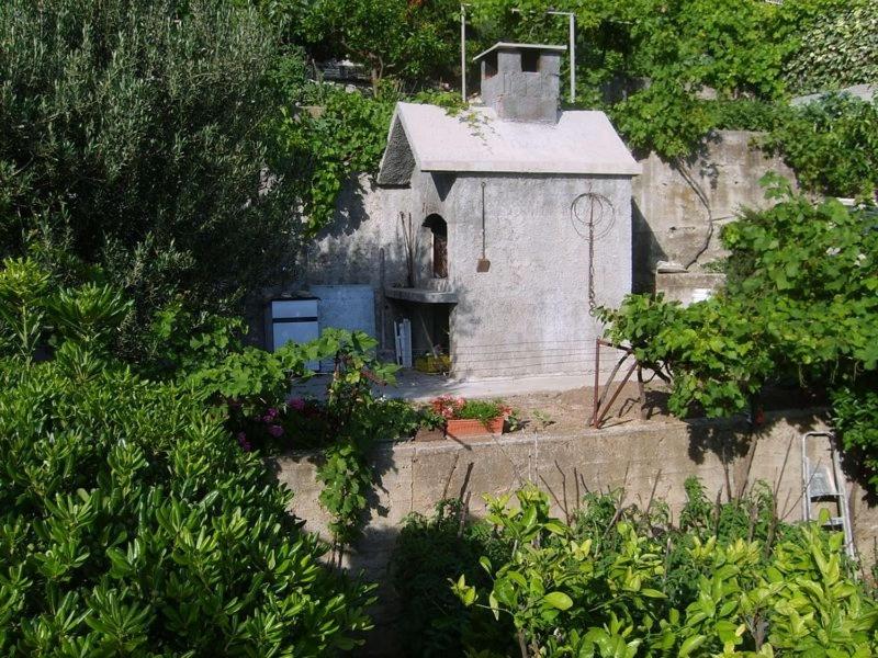 Apartment Borak (161-1) - image 27