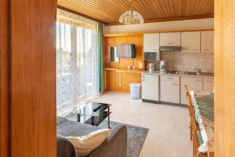 One-Bedroom Apartment image 4