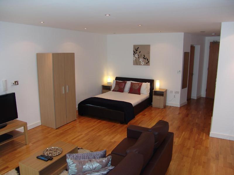 Studio Apartment image 4