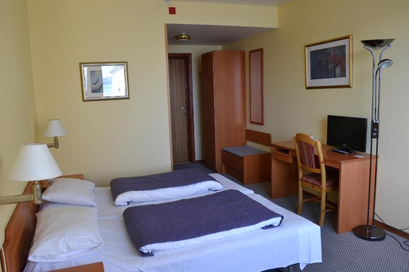 Double or Twin Room with Balcony and Fjord View image 3
