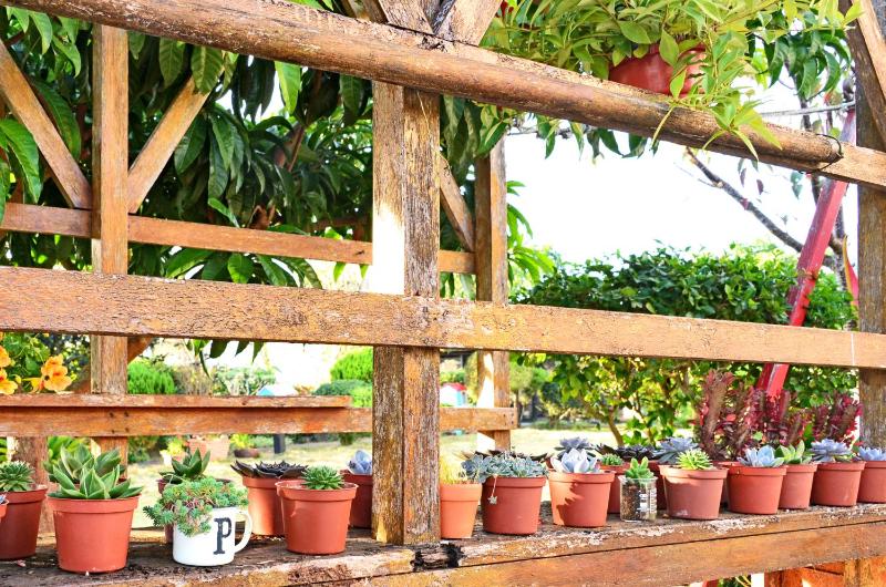 Taichung Xinshe Garden Life Homestay B&B - image 50