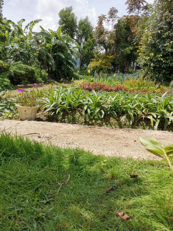 The Galways Edge Homestay - image 47