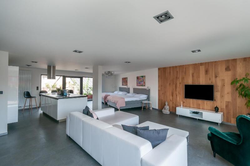 Superior Apartment image 2