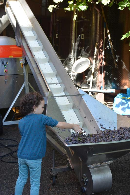CHEZ CECILE Bed and Breakfast chez le VIGNERON - image 38