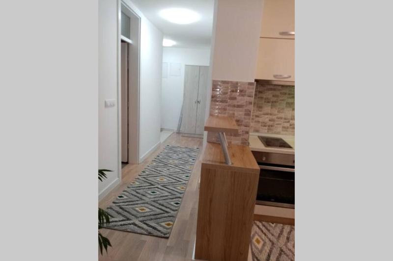 One-Bedroom Apartment image 3