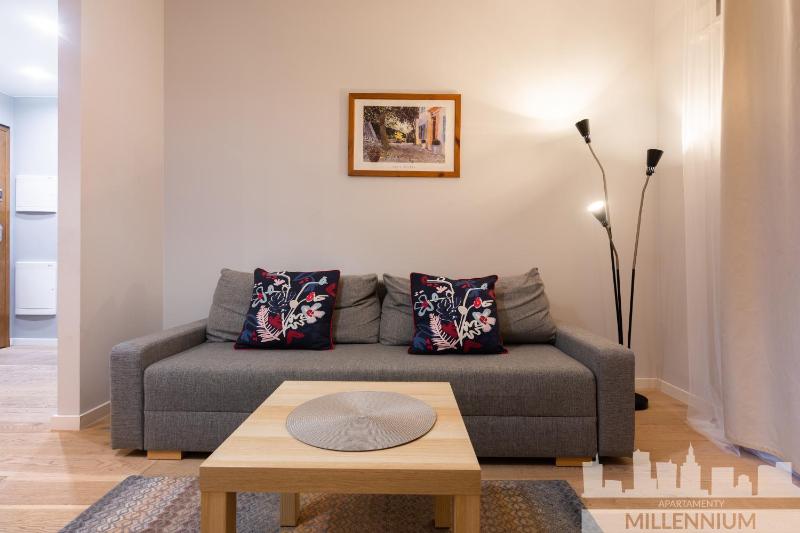 One-Bedroom Apartment image 4