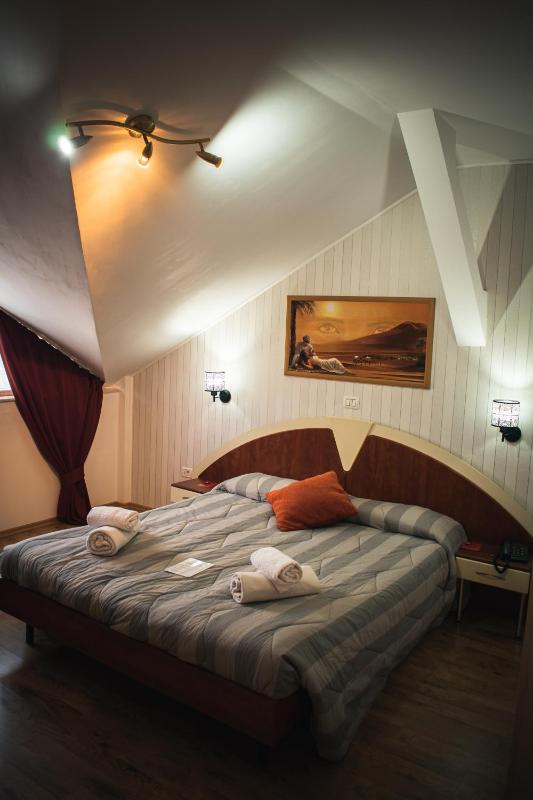 Superior Double Room image 2