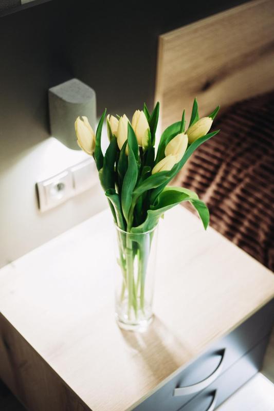 Studio Apartment image 2