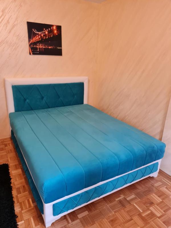 One-Bedroom Apartment image 4