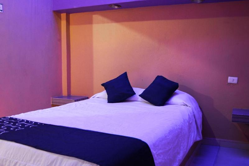 OYO Hotel Oasis Monterrey - image 1