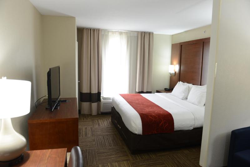 King Suite - Accessible/Non-Smoking image 4
