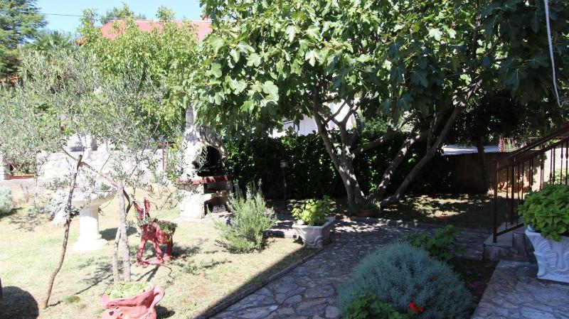Apartment - Ground Floor image 2