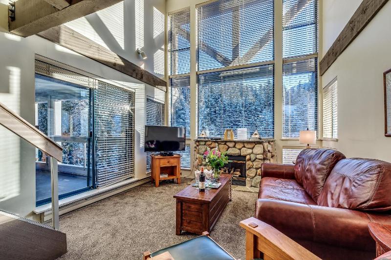 Greystone Lodge 401 Ski-in Out - image 6