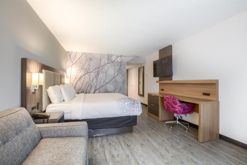 Executive King Room with Sofa Bed image 2