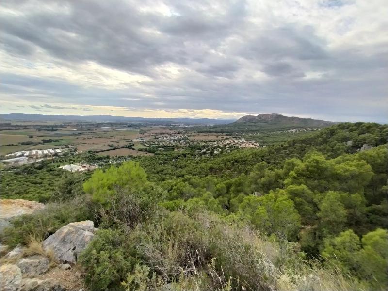 Turisme Rural Mas Ramades - image 9