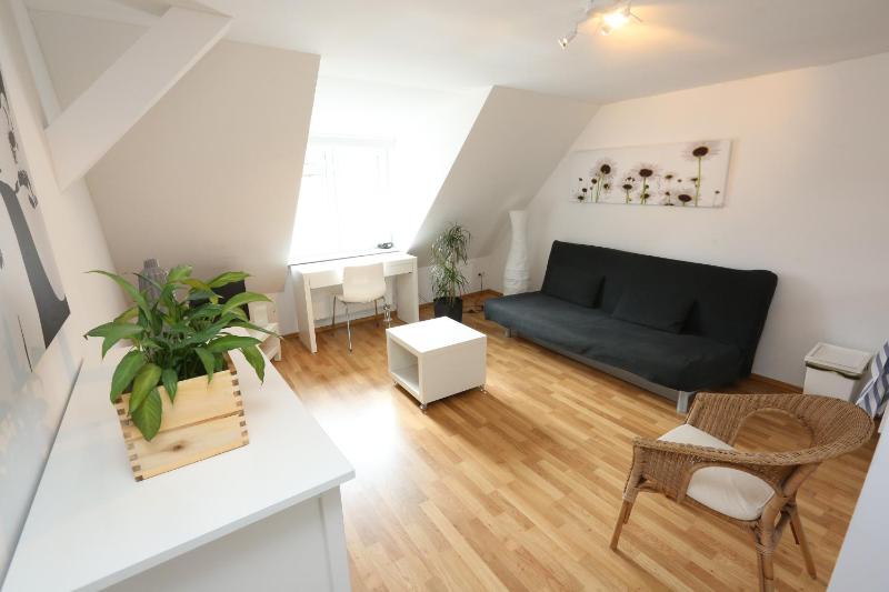 Apartments Thommen - image 14