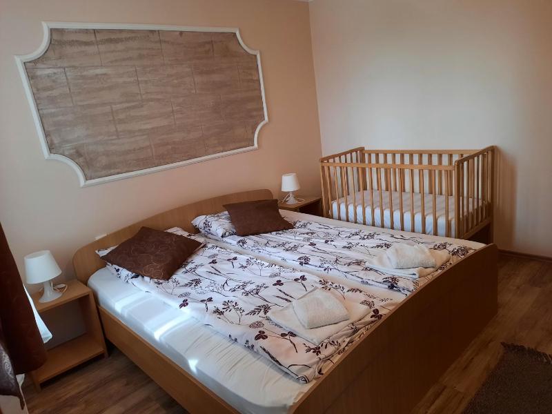 One-Bedroom Apartment image 2