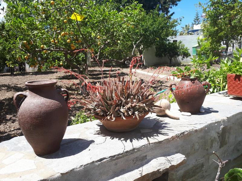 Margarita Studios - image 18