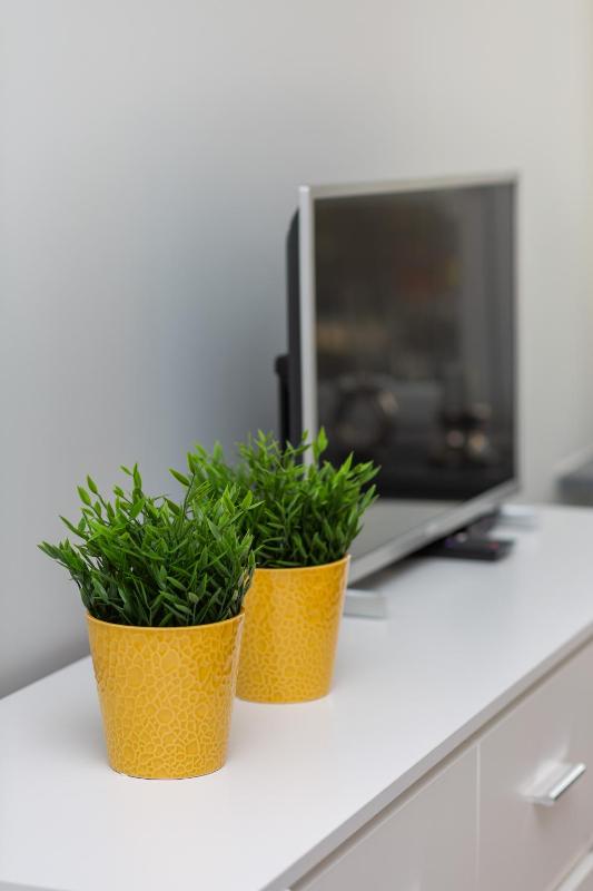 Deluxe Studio image 4