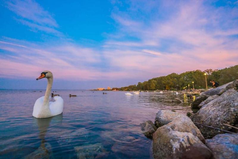 Balaton Wellness Apartman - image 38