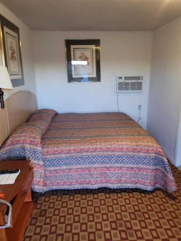 Budget Single Room image 4