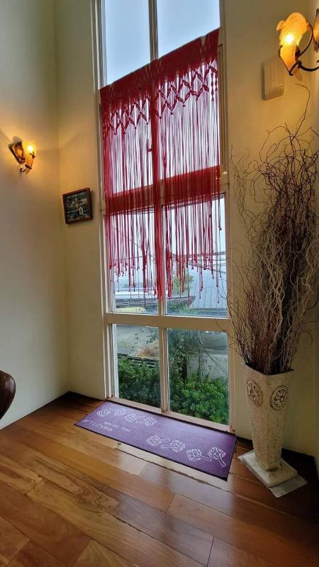 Star House - image 33