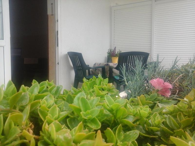 One-Bedroom Apartment with Terrace image 2