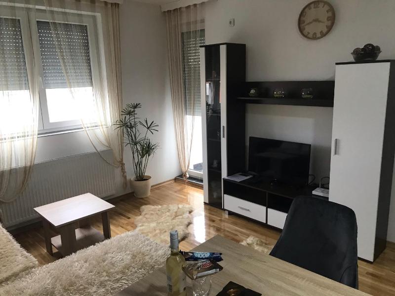 One-Bedroom Apartment image 4