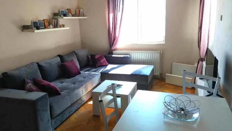 One-Bedroom Apartment image 2