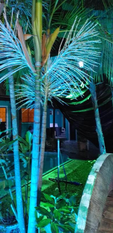 Arapiri Guest House - image 12