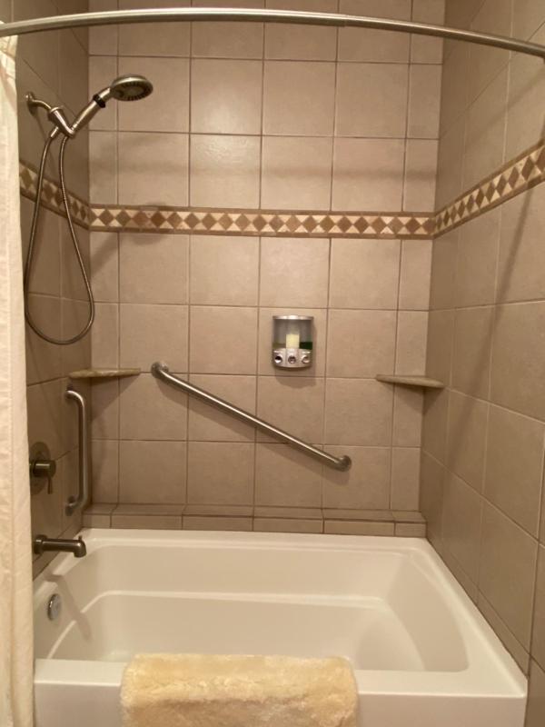 King Suite image 4
