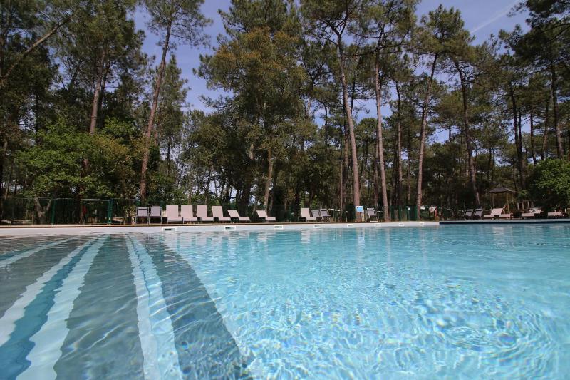 Superior Villa image 3