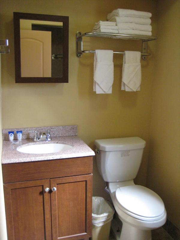 Standard Double Suite image 3